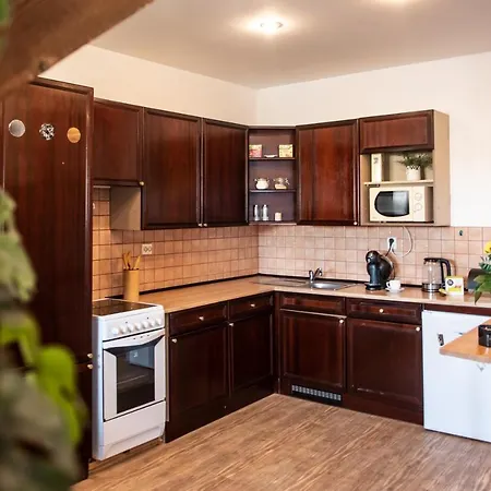 Apartment Podkrovni S Vyhledem Na Namesti Lomnice nad Luznici