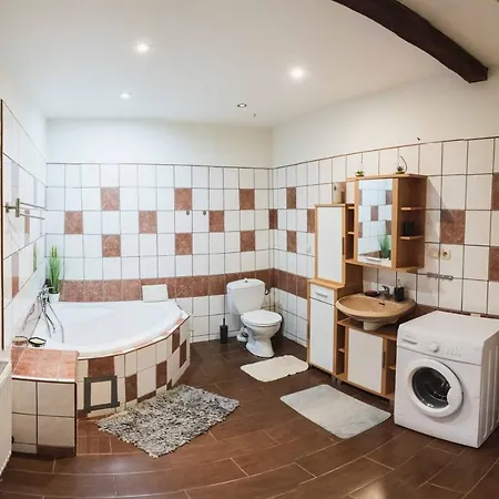 Apartment Podkrovni S Vyhledem Na Namesti Lomnice nad Luznici